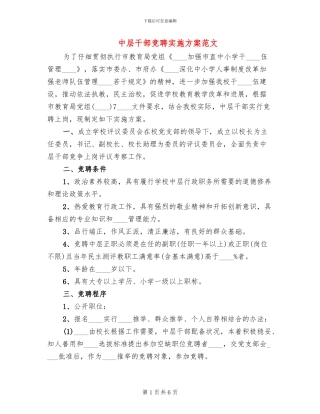 中层干部竞聘实施方案范文(2篇)