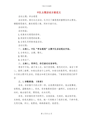 中队主题活动方案范文