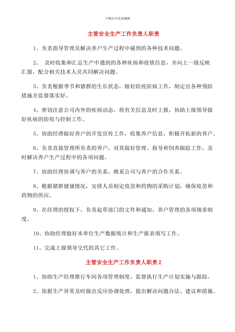 主管安全生产工作负责人职责_第1页