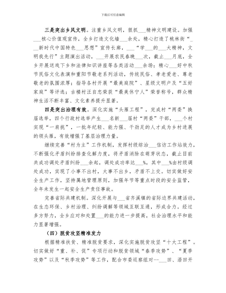 乡2024年工作总结及工作谋划_第3页