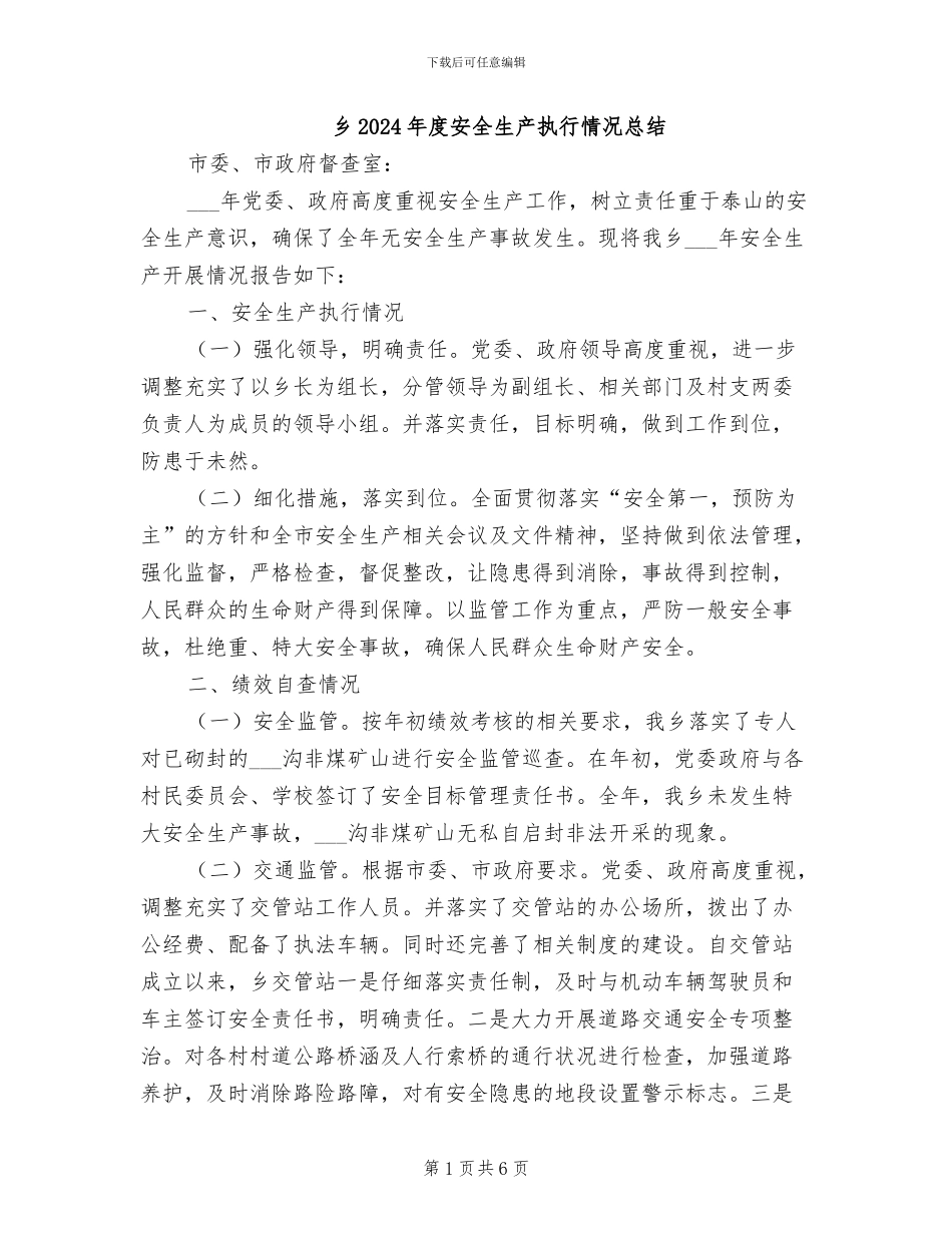 乡2024年度安全生产执行情况总结_第1页