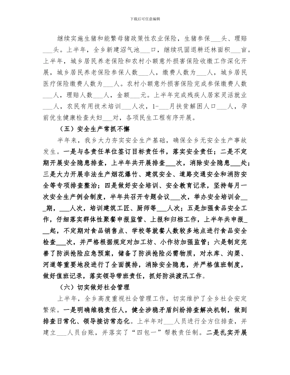 乡人民政府2024年上半年工作总结_第2页