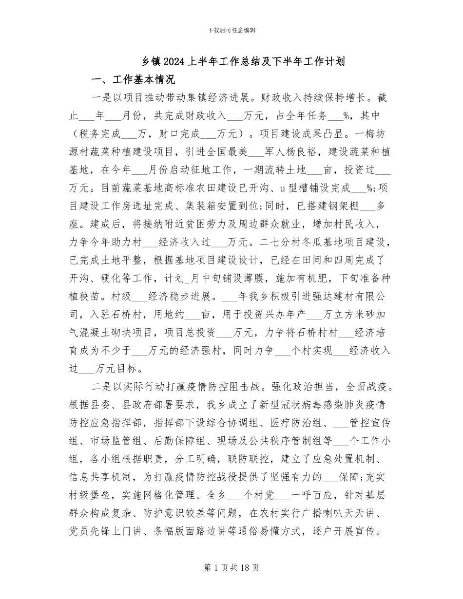 乡镇2024上半年工作总结及下半年工作计划_第1页
