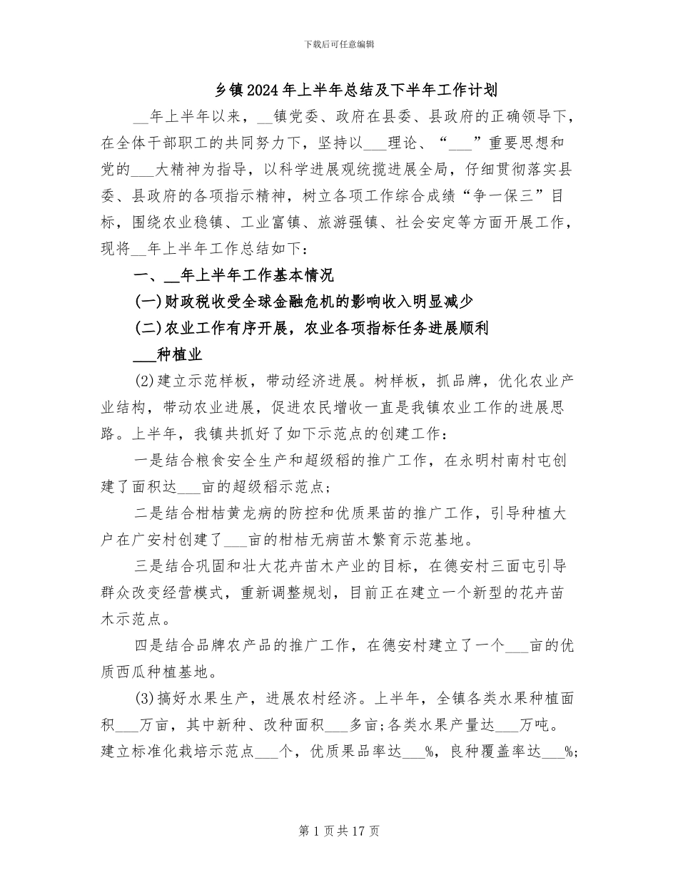 乡镇2024年上半年总结及下半年工作计划_第1页