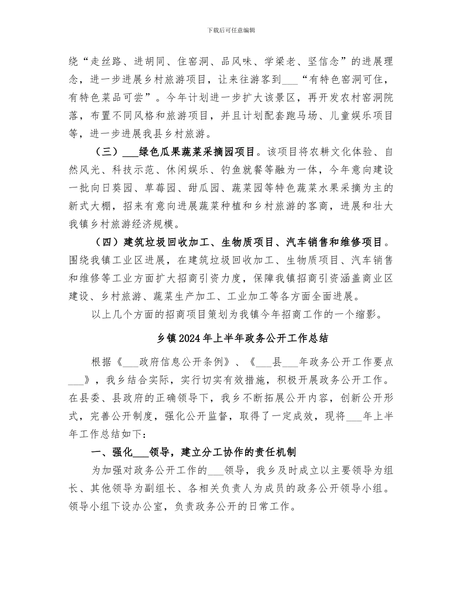 乡镇2024年上半年招商引资工作总结_第3页