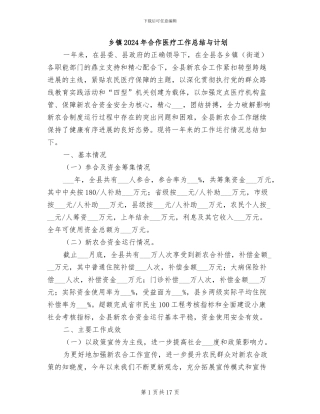 乡镇2024年合作医疗工作总结与计划
