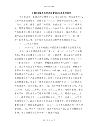 乡镇2024年工作总结暨2024年工作计划