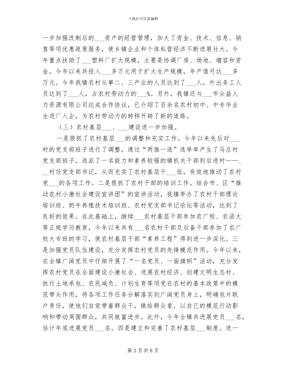 乡镇2024年度工作年终总结_第3页