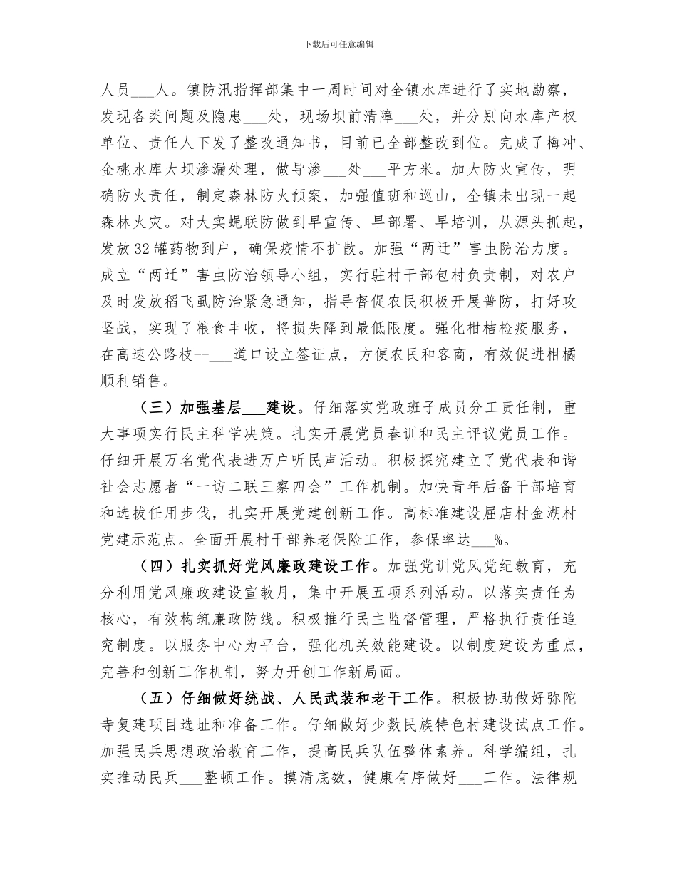 乡镇2024年度工作总结范文_第3页