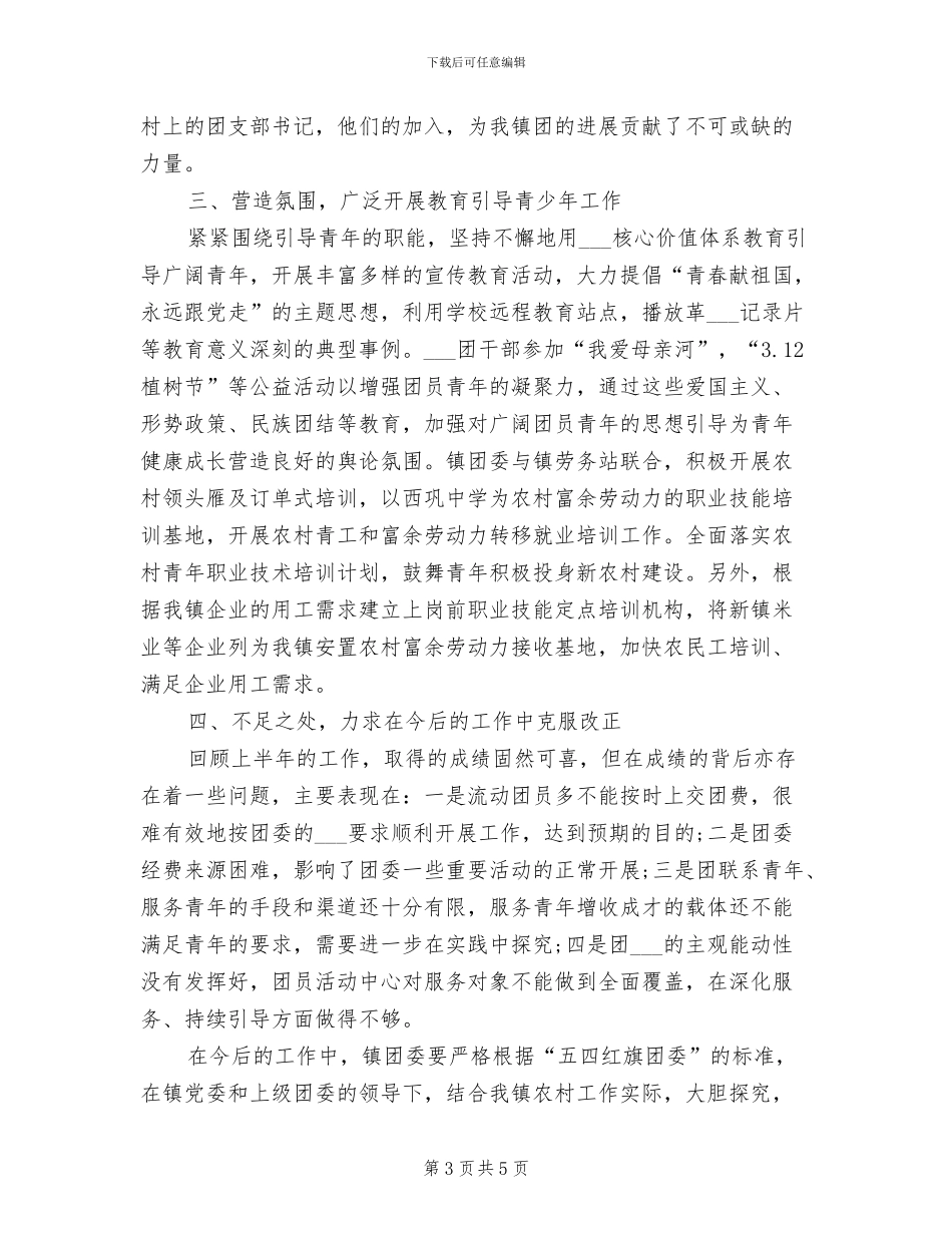 乡镇团委2024年上半年工作小结_第3页