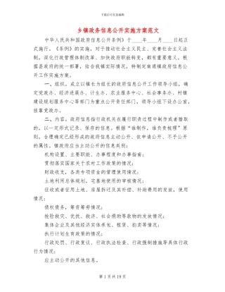 乡镇政务信息公开实施方案范文