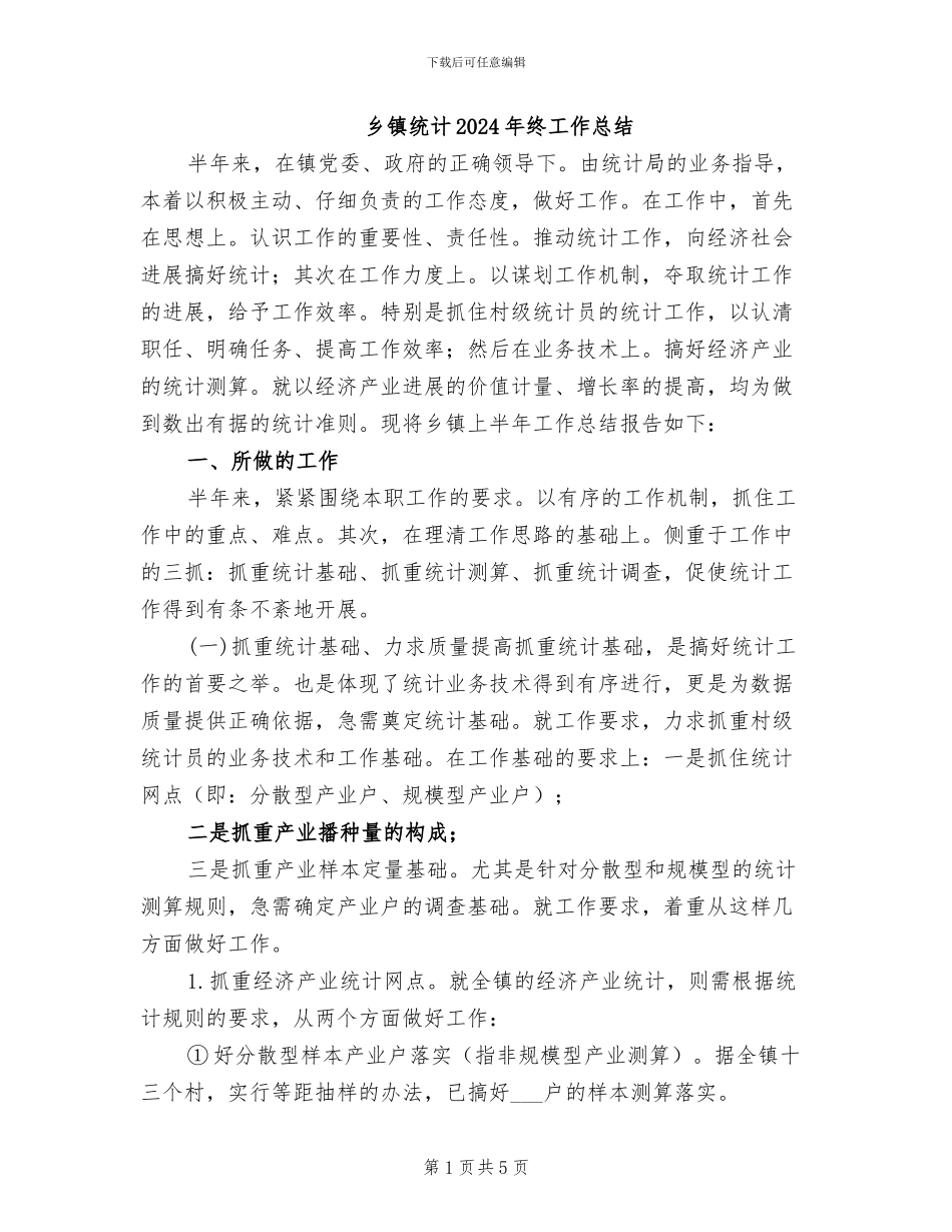 乡镇统计2024年终工作总结_第1页