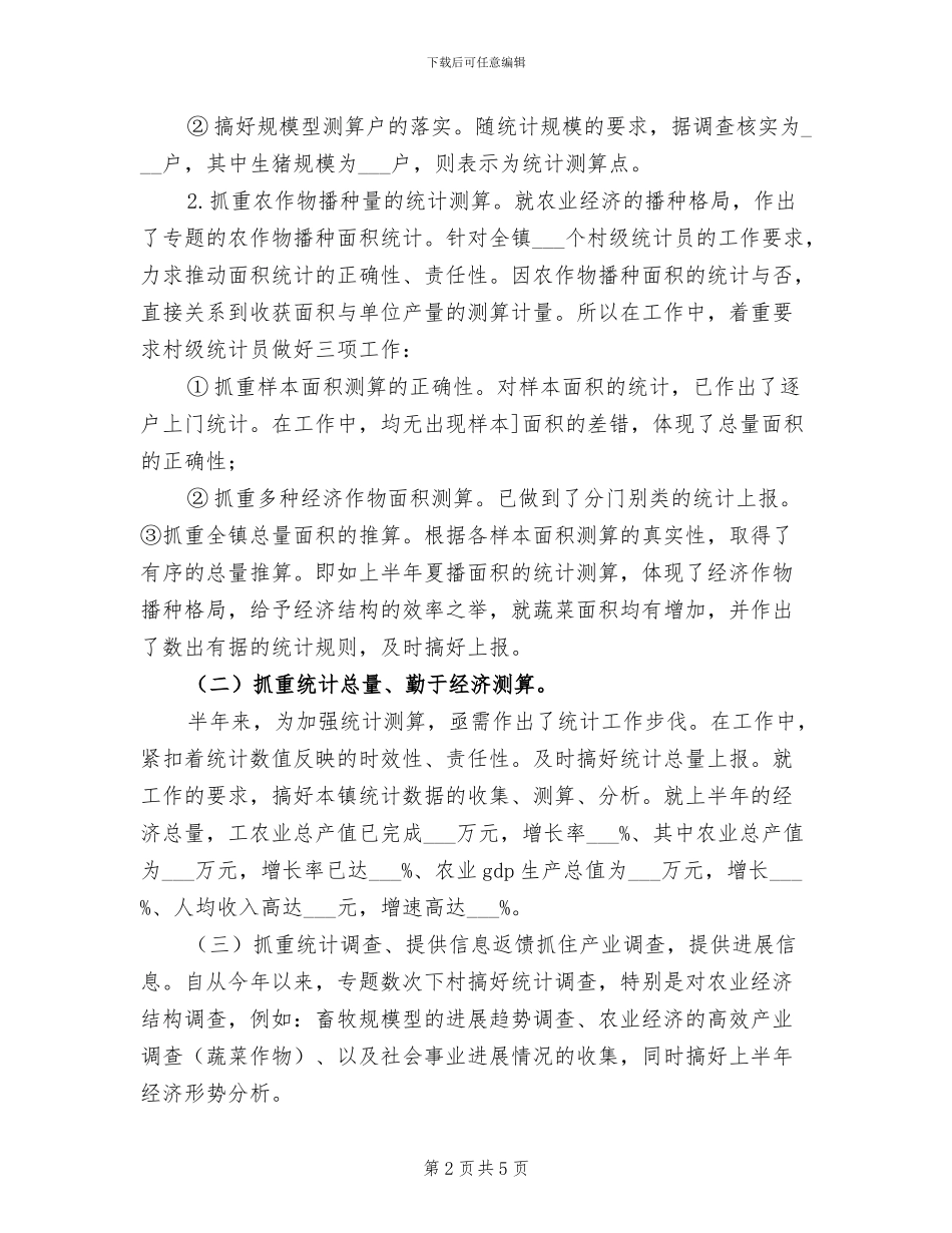 乡镇统计2024年终工作总结_第2页