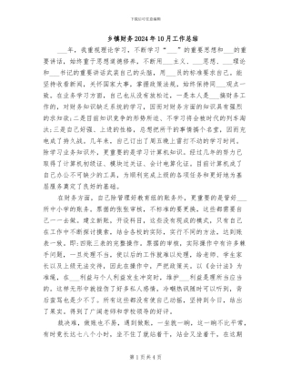乡镇财务2024年10月工作总结