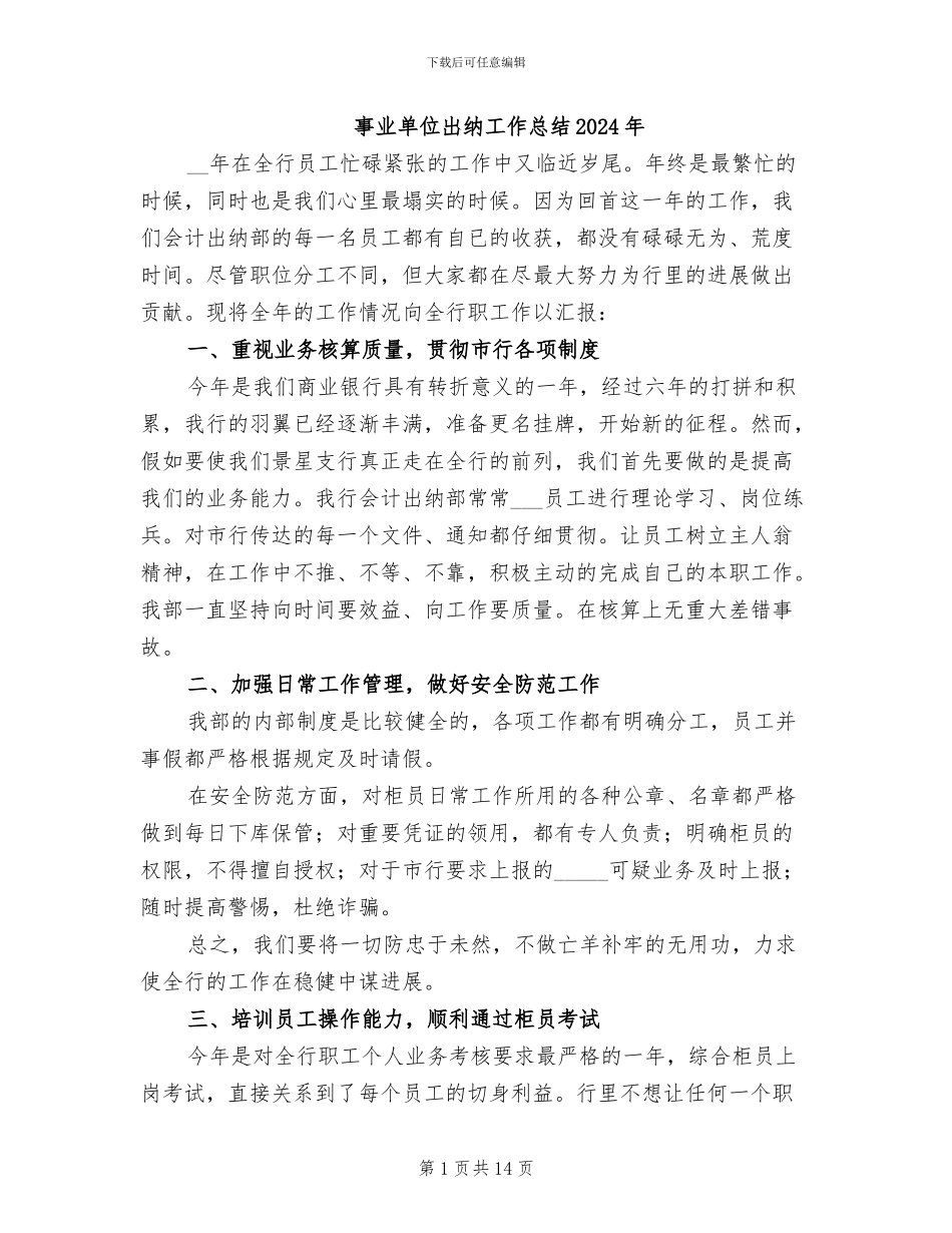 事业单位出纳工作总结2024年_第1页