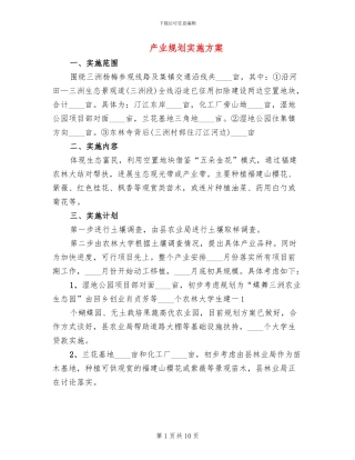 产业规划实施方案