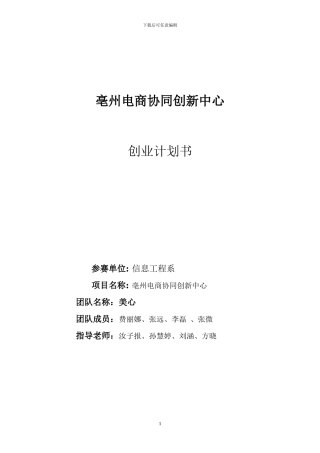 亳州市电子商务协调创新中心计划书