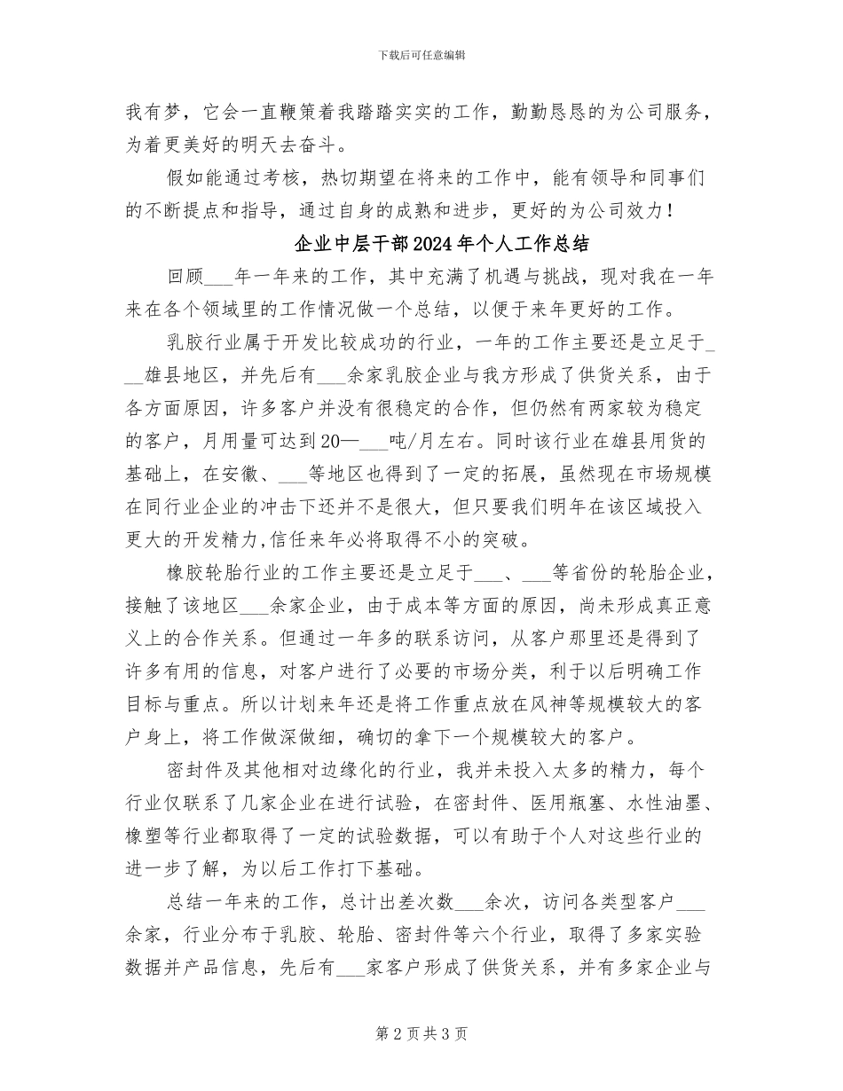 企业个人试用期工作总结2024年_第2页