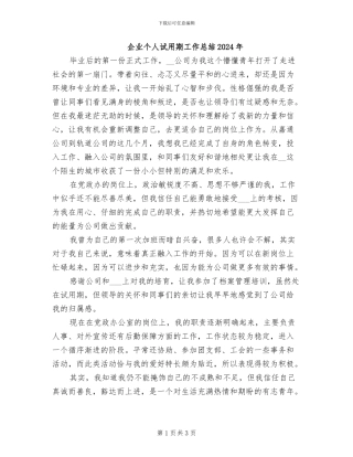 企业个人试用期工作总结2024年