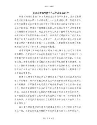 企业出纳试用期个人工作总结2024年