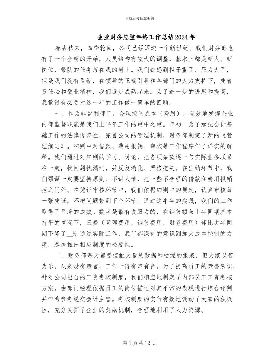企业财务总监年终工作总结2024年_第1页