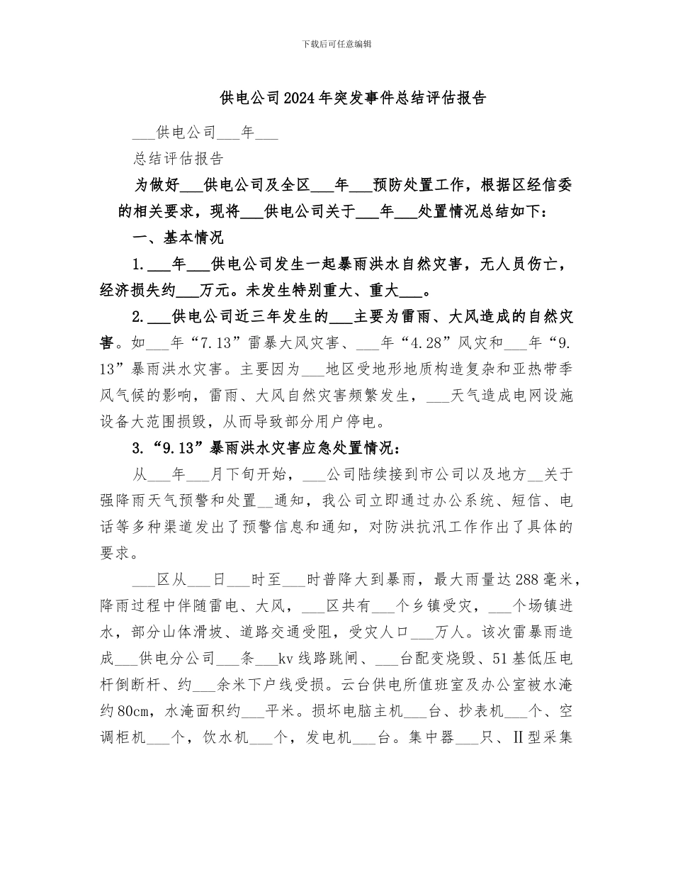 供电公司2024年突发事件总结评估报告_第1页