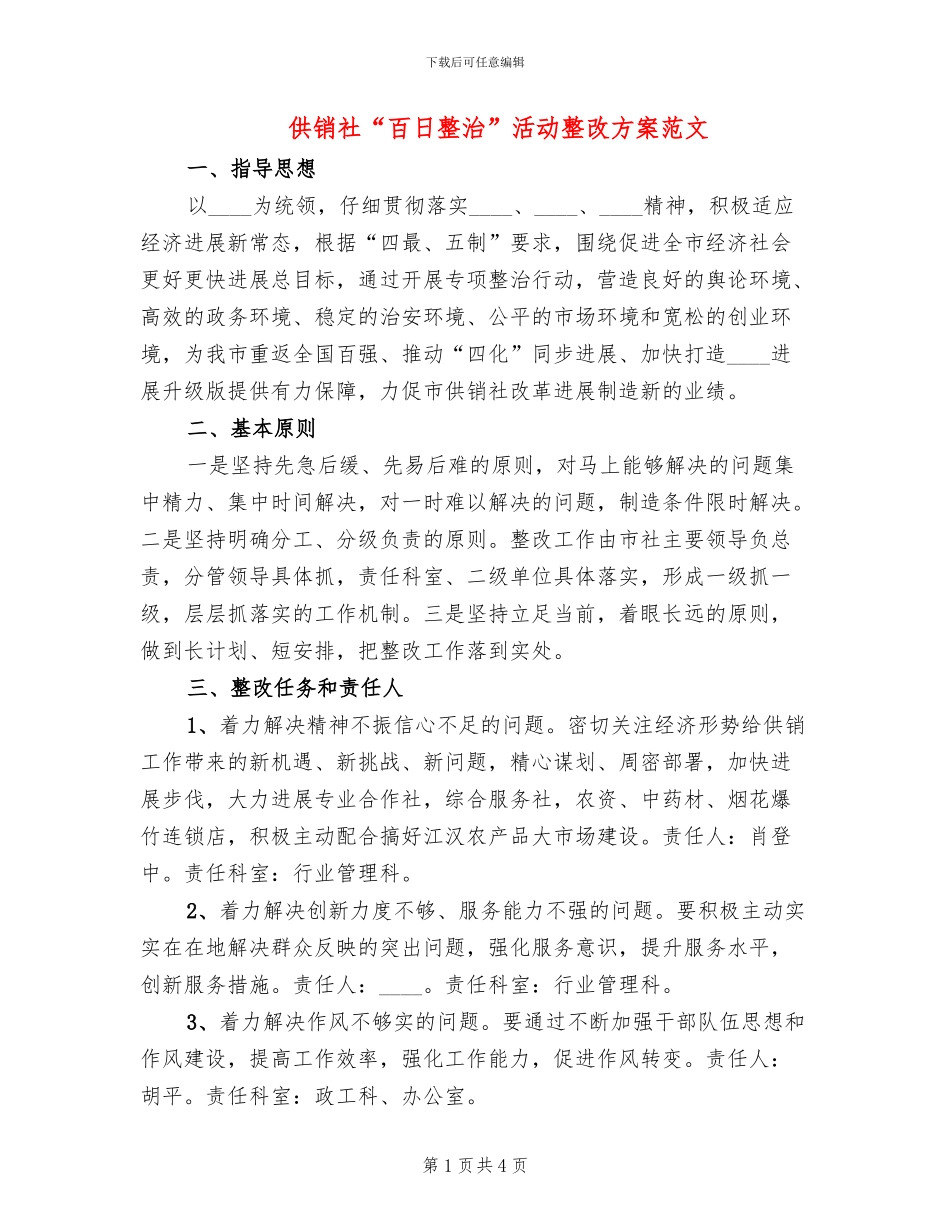 供销社“百日整治”活动整改方案范文_第1页