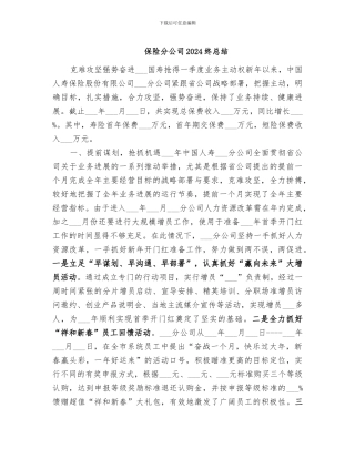 保险分公司2024终总结