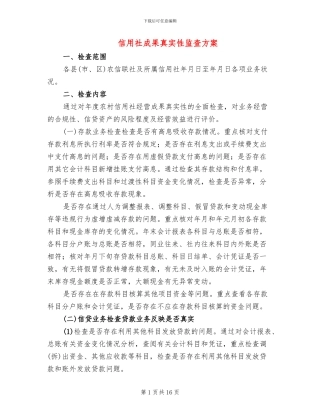 信用社成果真实性监查方案
