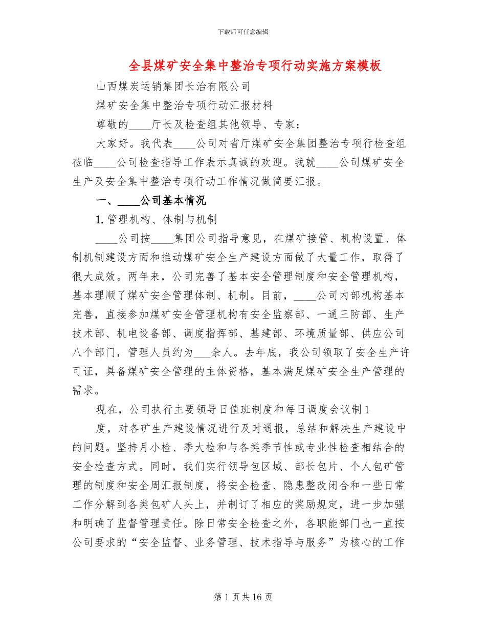 全县煤矿安全集中整治专项行动实施方案模板_第1页