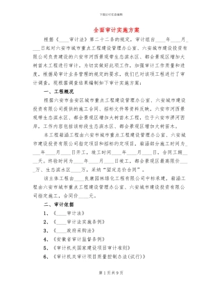 全面审计实施方案