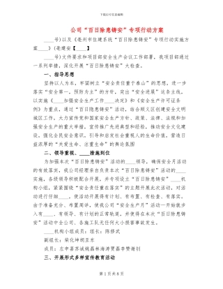 公司“百日除患铸安”专项行动方案