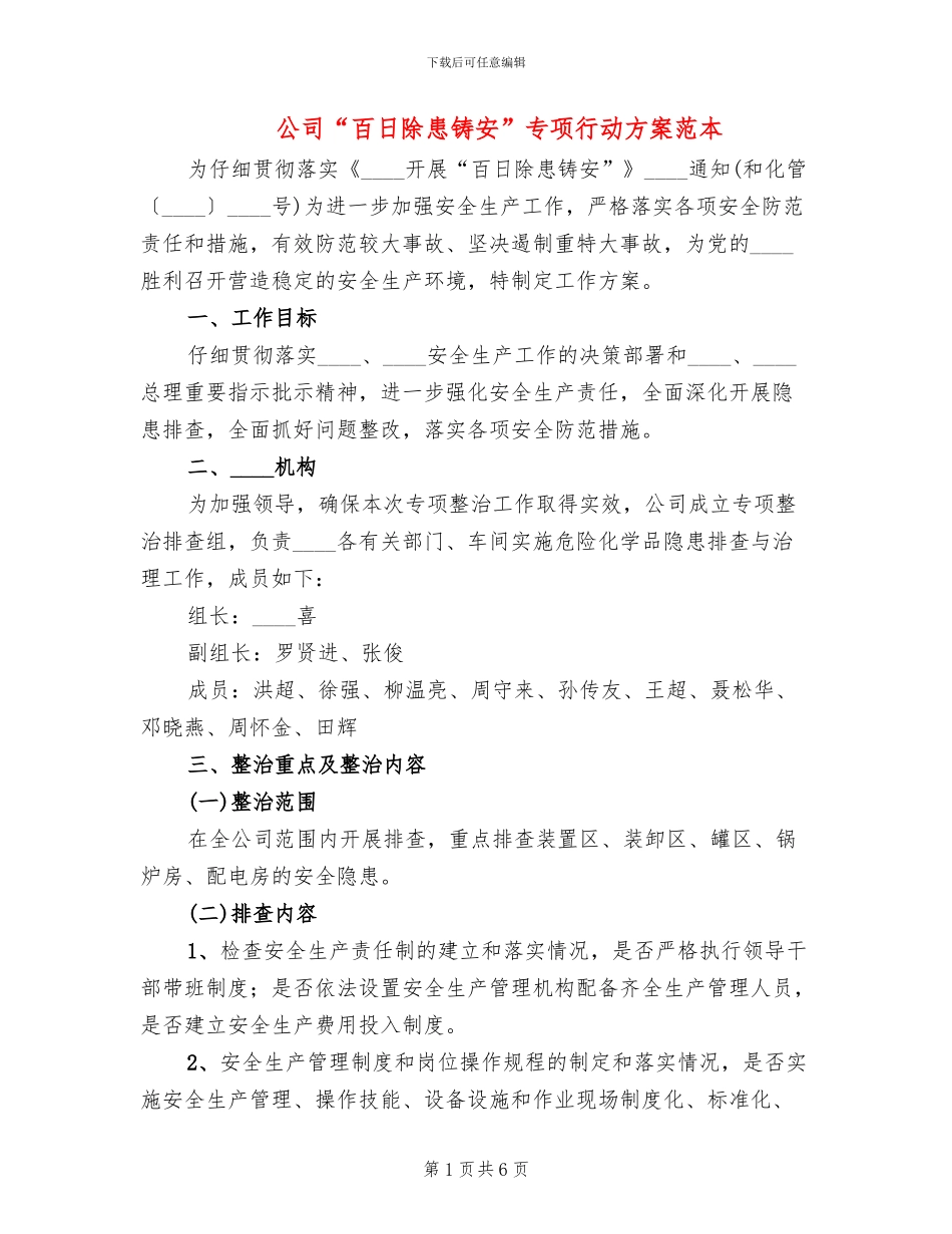 公司“百日除患铸安”专项行动方案范本_第1页