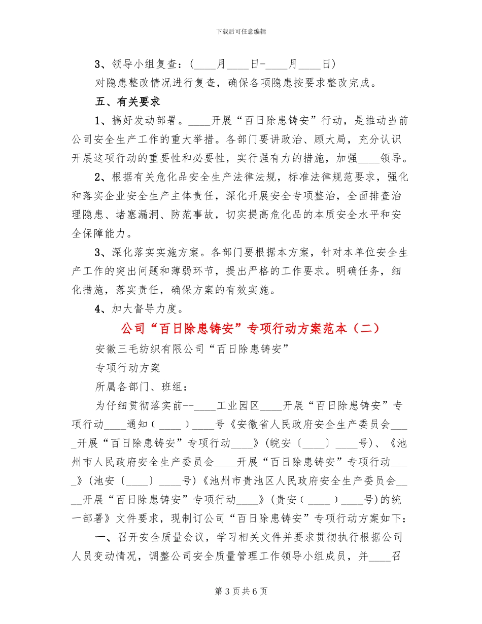 公司“百日除患铸安”专项行动方案范本_第3页