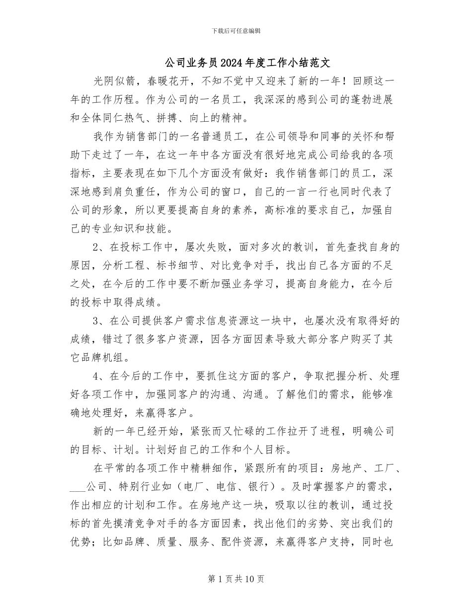 公司业务员2024年度工作小结范文_第1页