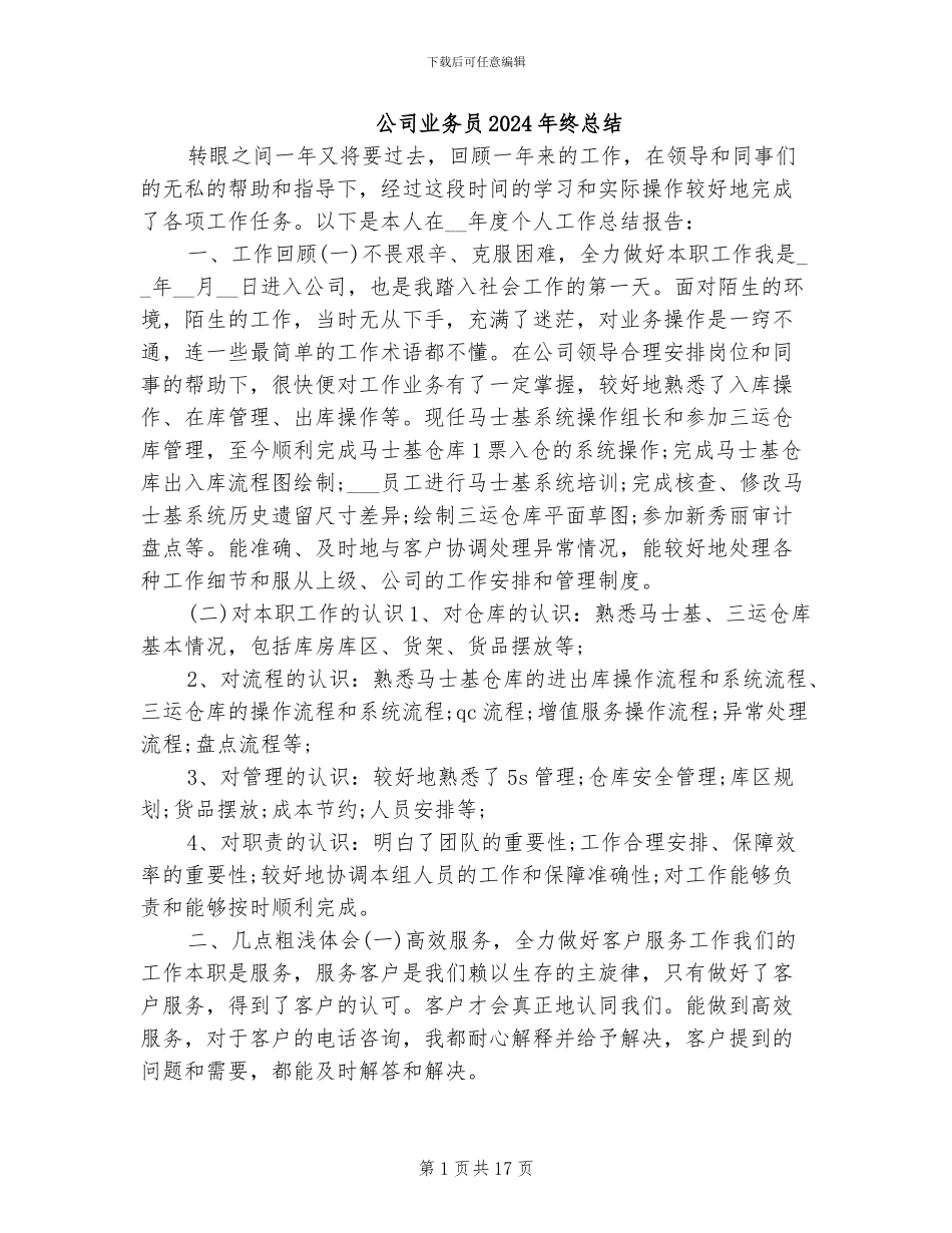 公司业务员2024年终总结_第1页