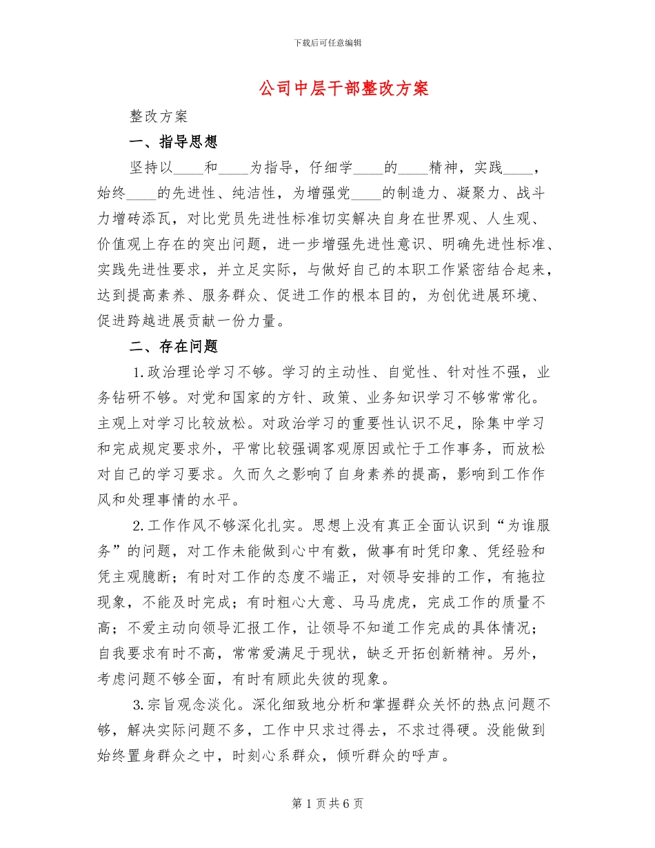 公司中层干部整改方案_第1页