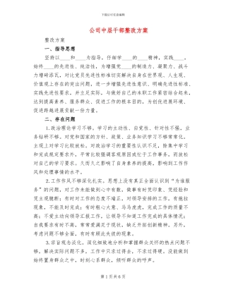 公司中层干部整改方案