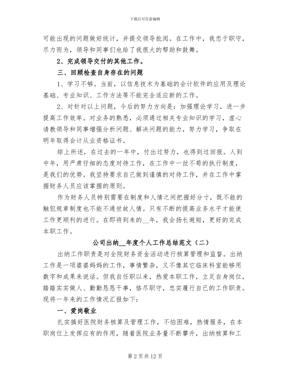 公司出纳2024年度个人工作总结_第2页