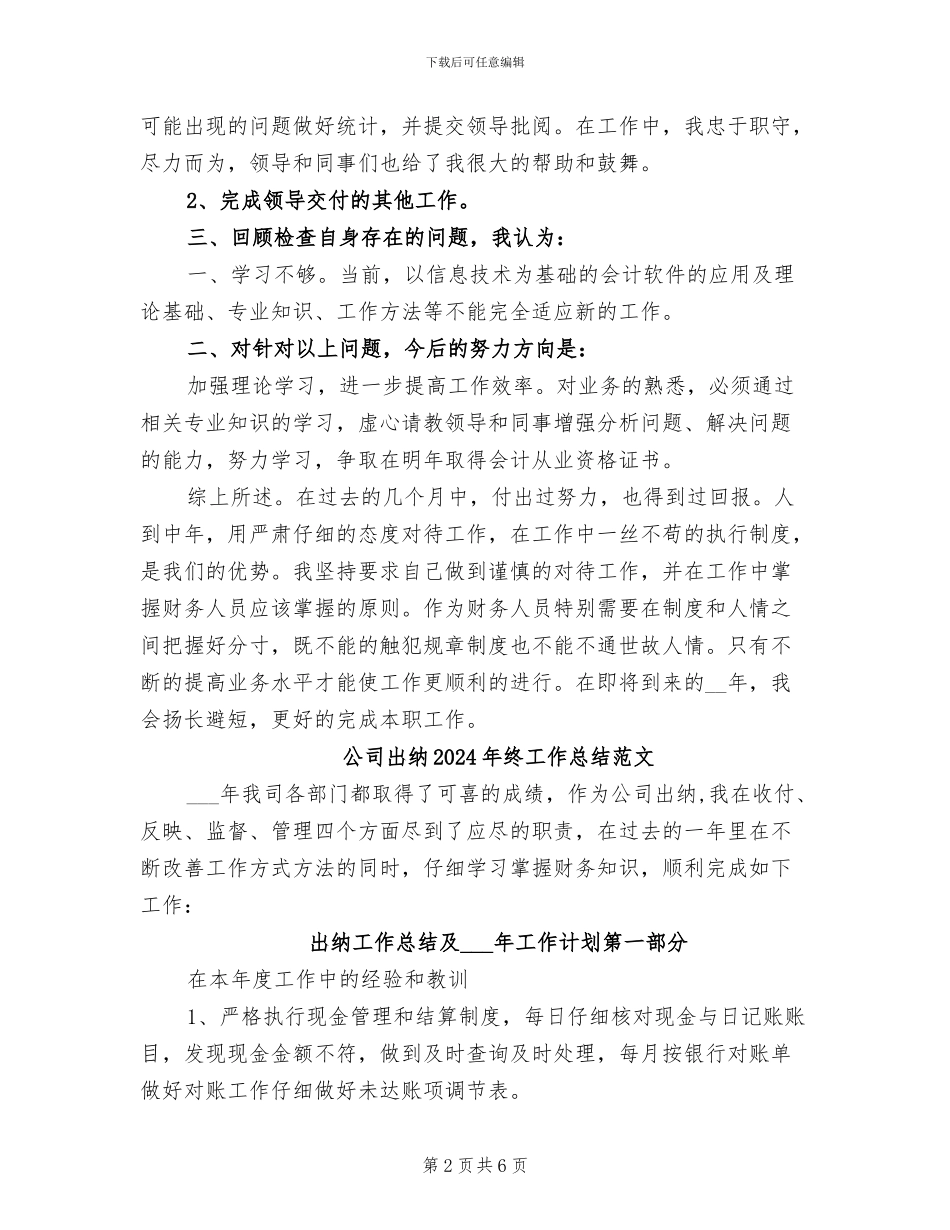 公司出纳2024年终工作总结_第2页