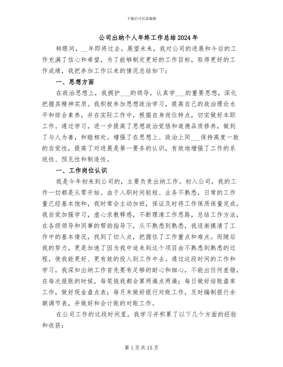 公司出纳个人年终工作总结2024年_第1页