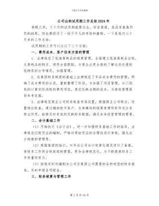 公司出纳试用期工作总结2024年