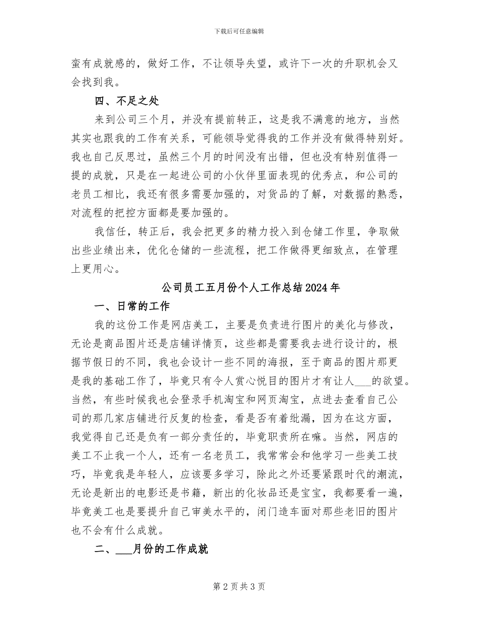 公司员工个人试用期工作总结2024年_第2页