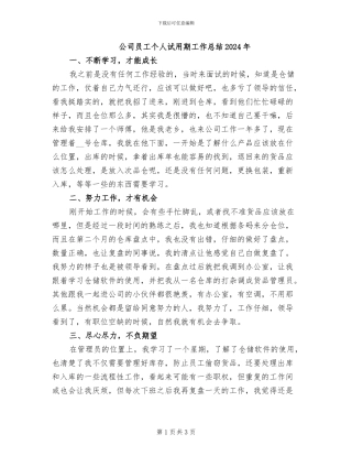 公司员工个人试用期工作总结2024年