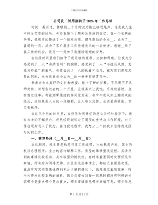 公司员工试用期转正2024年工作总结