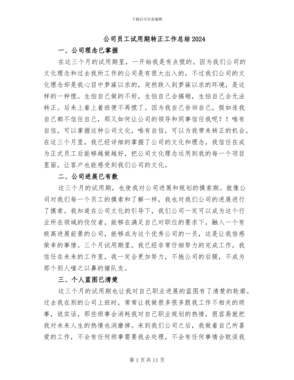 公司员工试用期转正工作总结2024_第1页