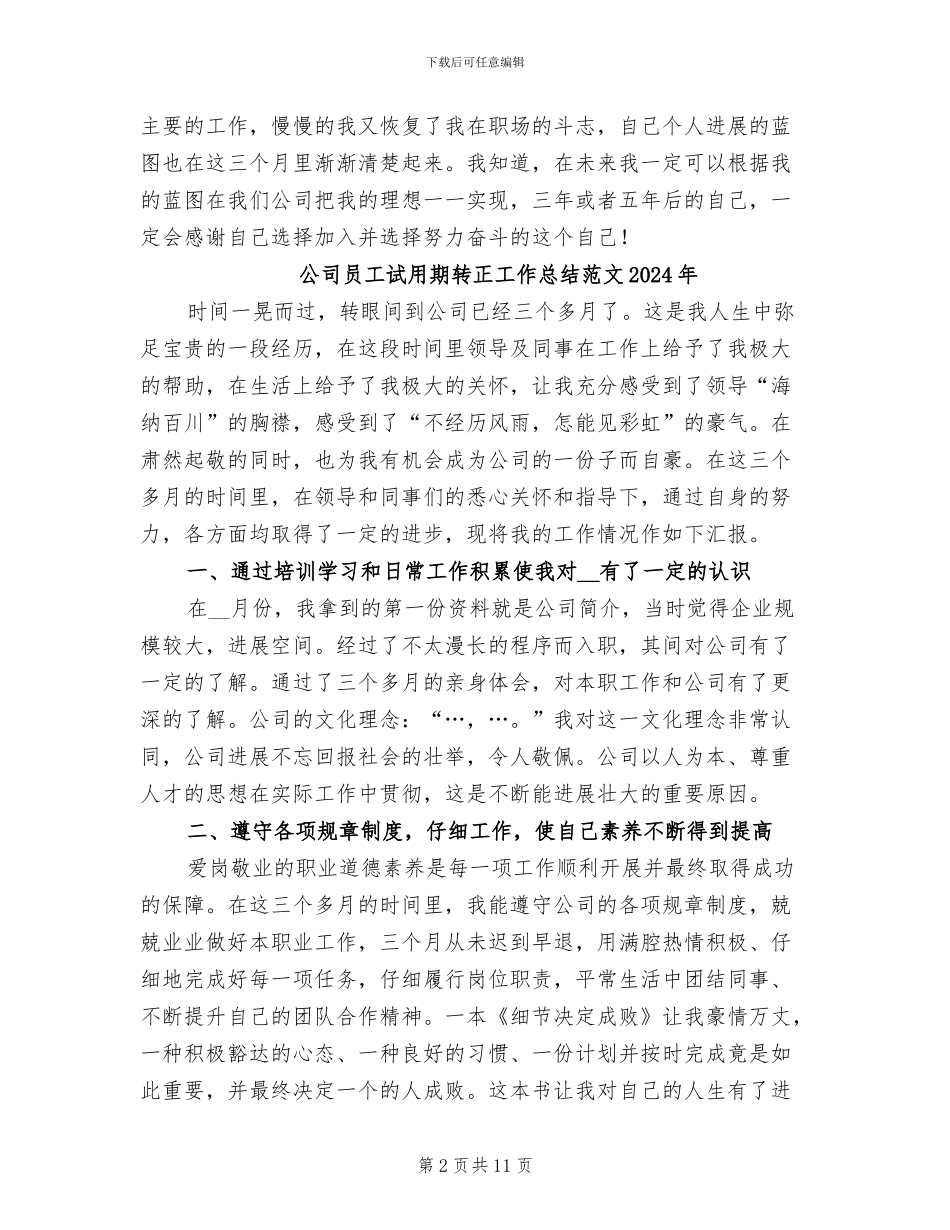 公司员工试用期转正工作总结2024_第2页