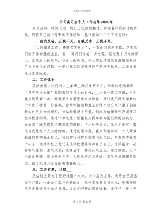 公司实习生个人工作总结2024年