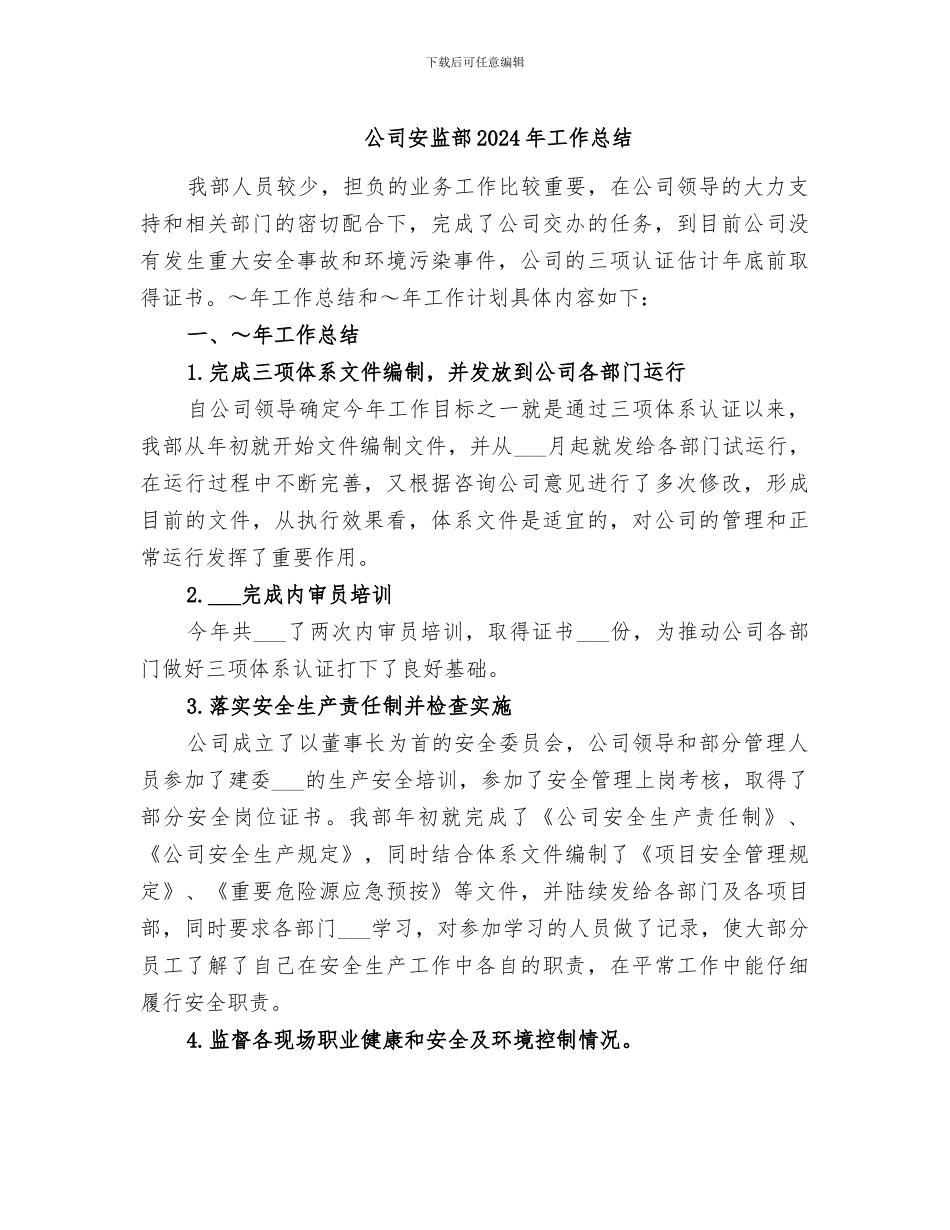 公司安监部2024年工作总结_第1页