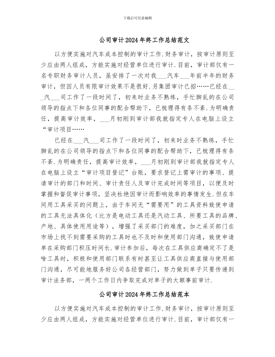公司审计2024年终工作总结范文_第1页